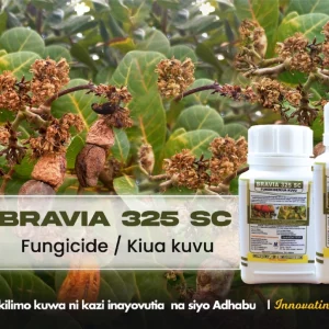 BRAVIA 325 SC