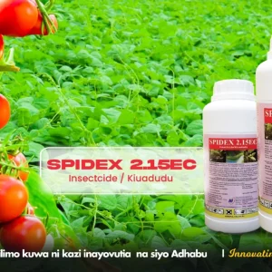 SPIDEX 2.15 E.C