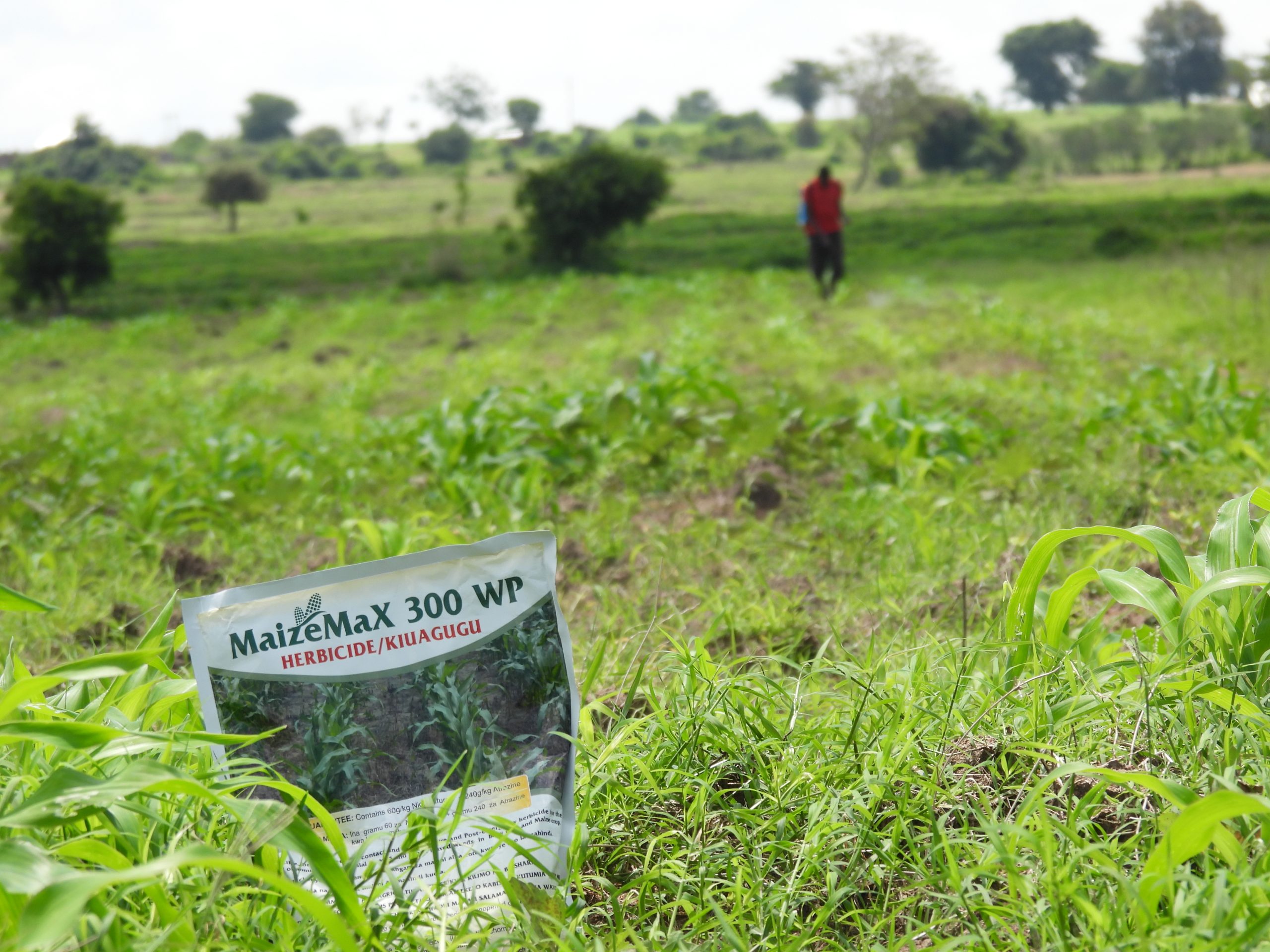The use of herbicides for higher yields.